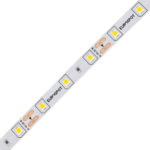 EuroSpot Led Ταινία DC:12V 3528 SMD IP20 4.8W/M 65lm/W 6000K 5m Ψυχρό Λευκό - Image 2