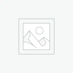 Δείκτης τοποθέτησης